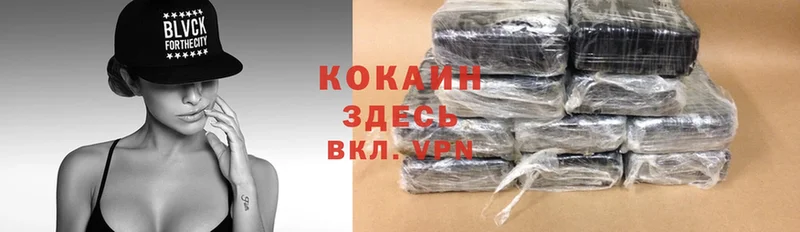 купить закладку  Черепаново  Cocaine Fish Scale 