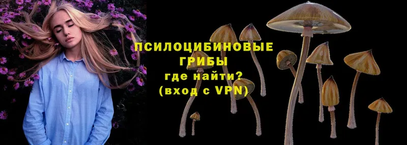 Галлюциногенные грибы Cubensis  Черепаново 